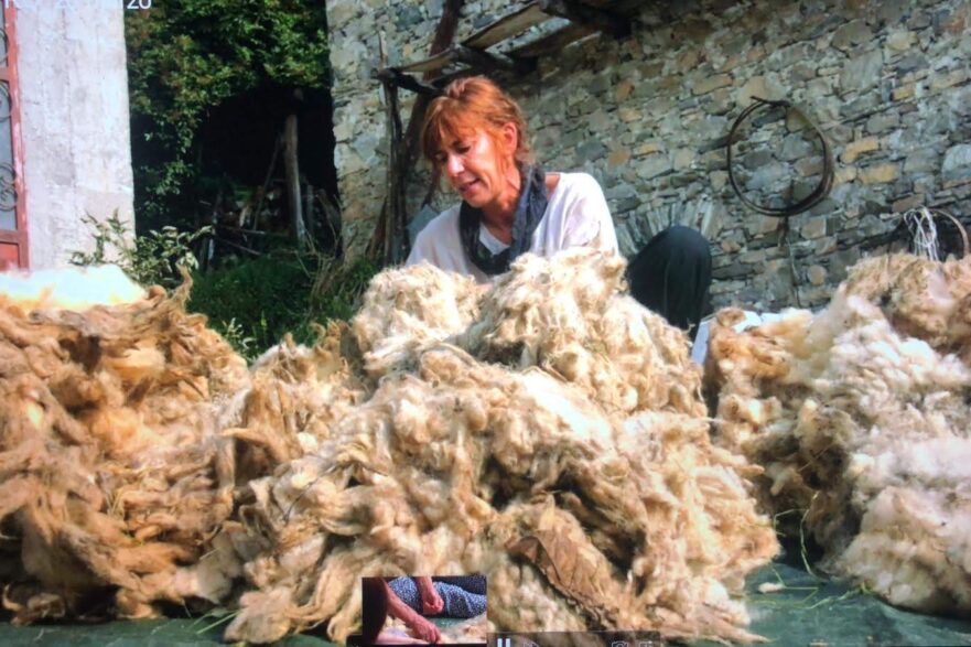cardatura lana